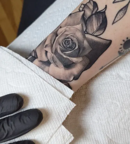 Flower, Rose