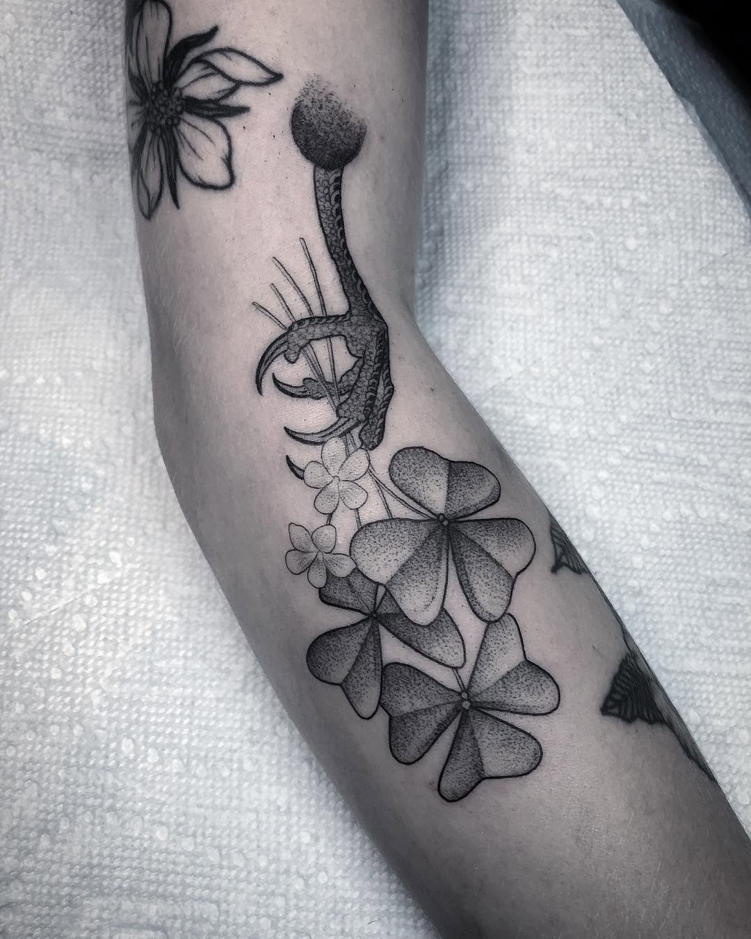 Flower