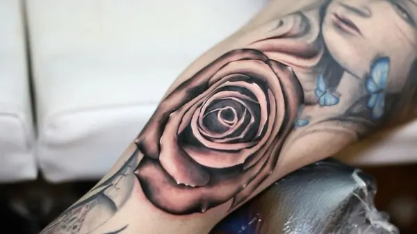 Flower, Rose