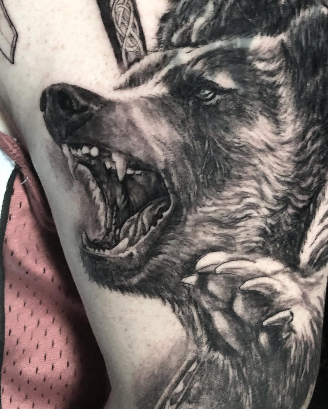 Animal