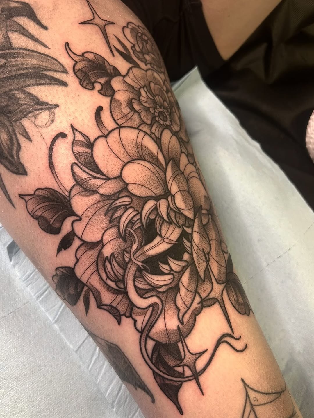 sarastigmata