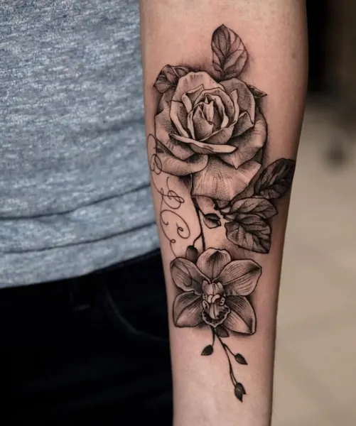 Flower, Rose