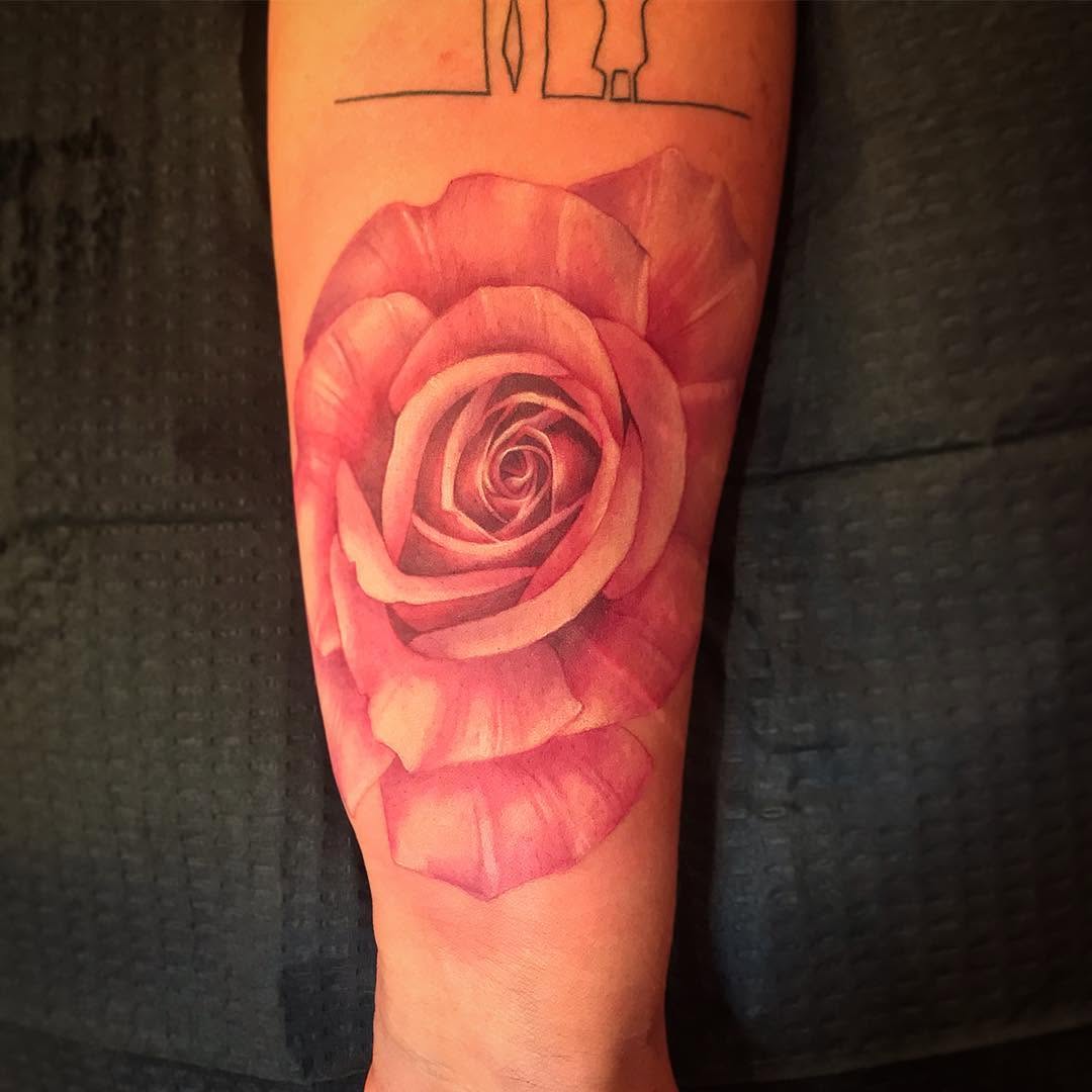 Flower, Rose