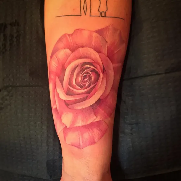 Flower, Rose