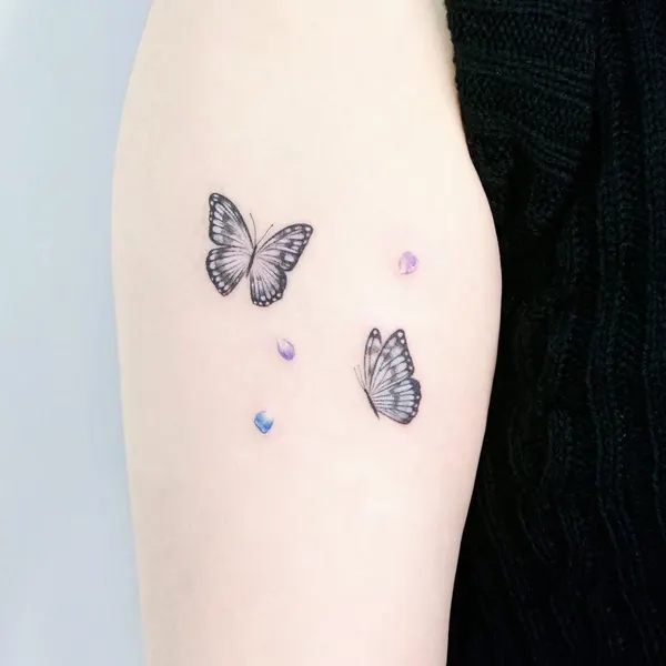 Nature, Animal, 나방, 나비