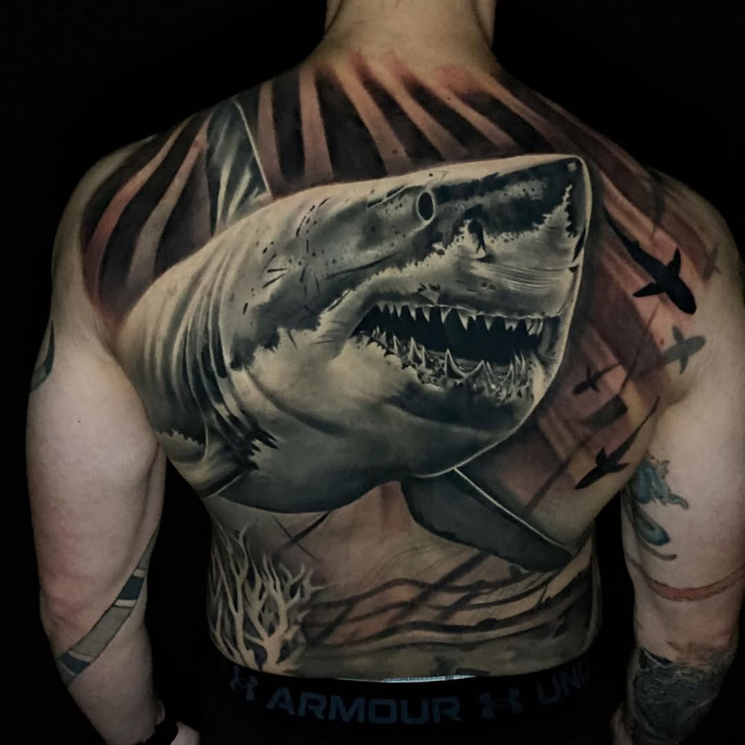 상어