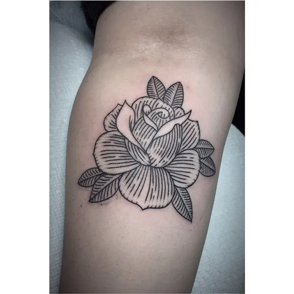 Flower, Rose