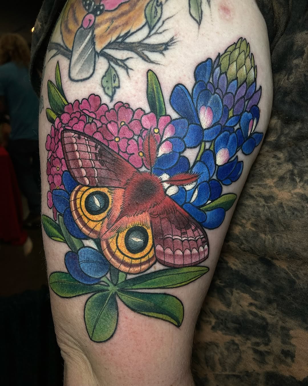 Flower, Animal, Nature