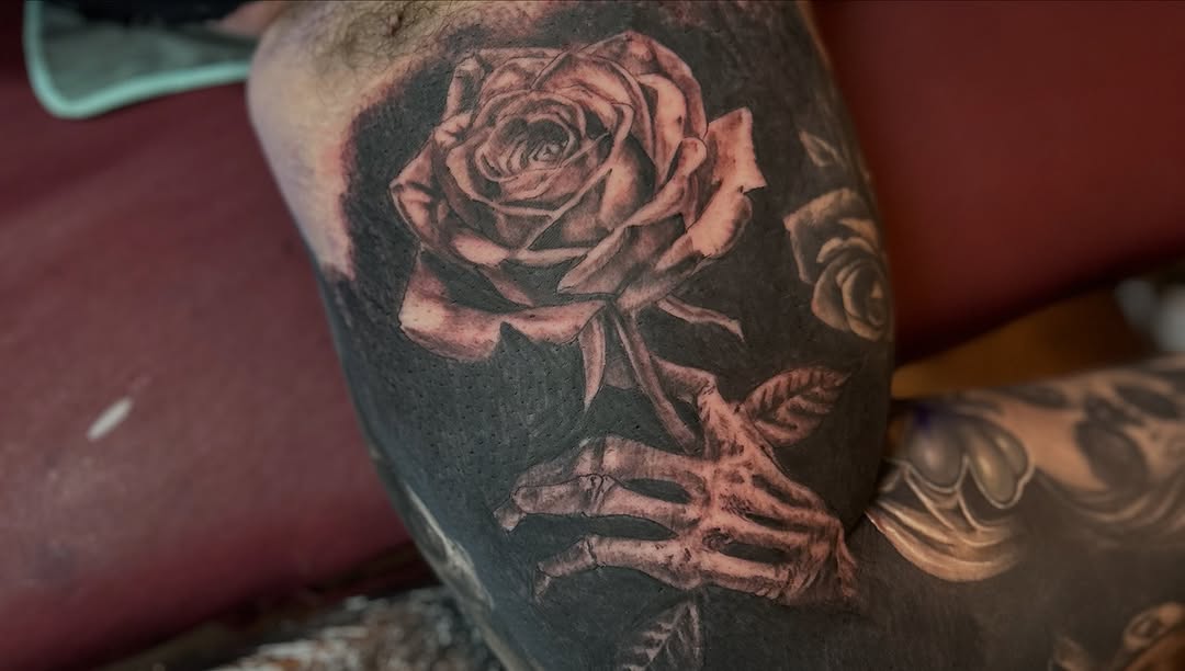 Flower, Rose
