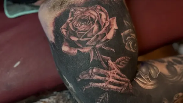 Flower, Rose