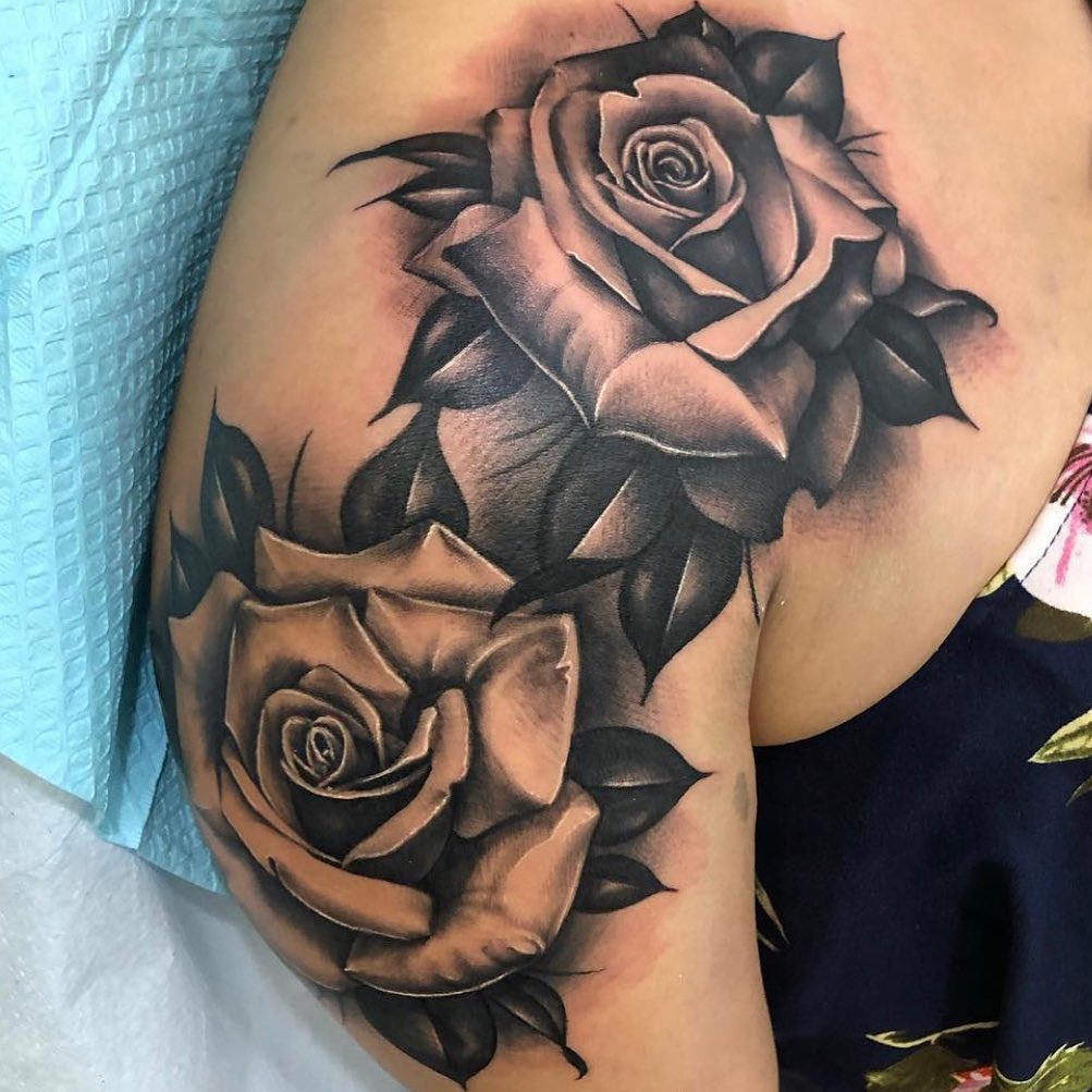 Flower, Rose, Nature