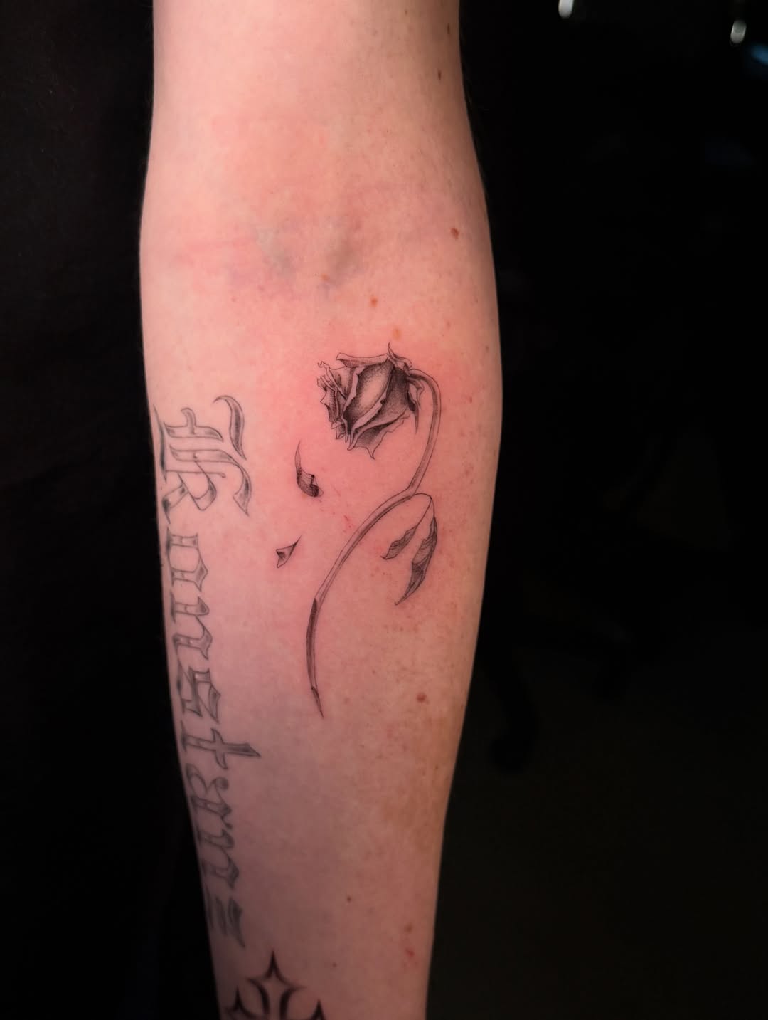 tatsbyjenni