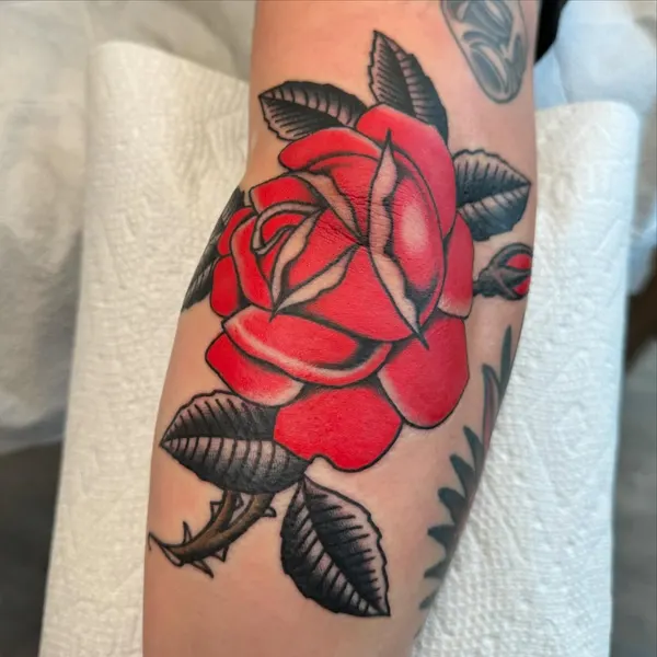 Flower, Rose