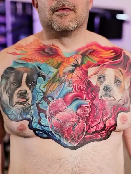 Animal, 문어, 크라켄