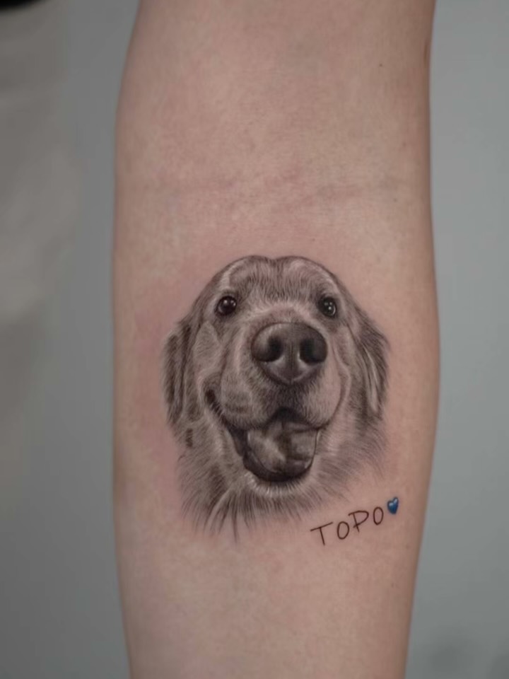 Animal, 강아지