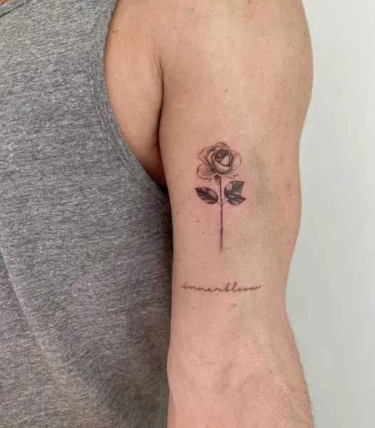 Flower, Rose