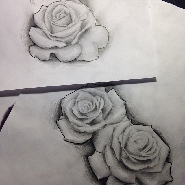 Flower, Rose