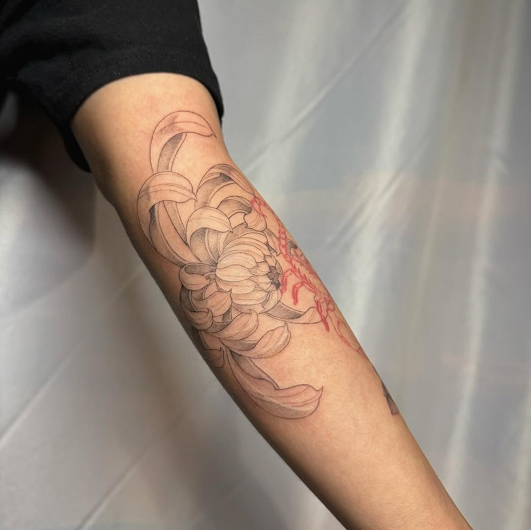 Flower, Rose