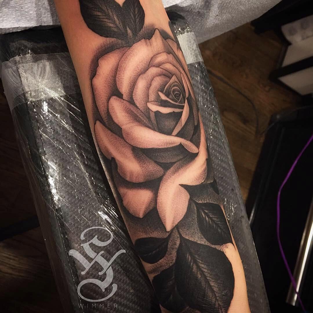 Flower, Rose