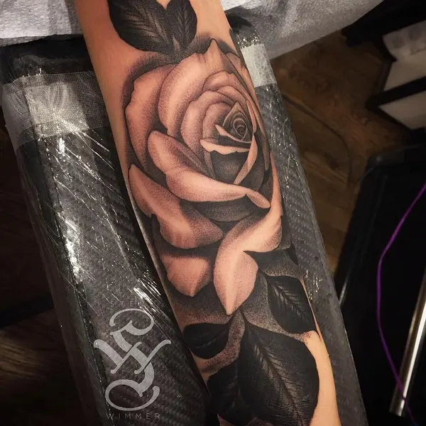 Flower, Rose