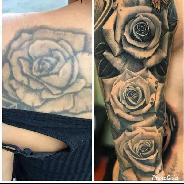 Flower, Rose