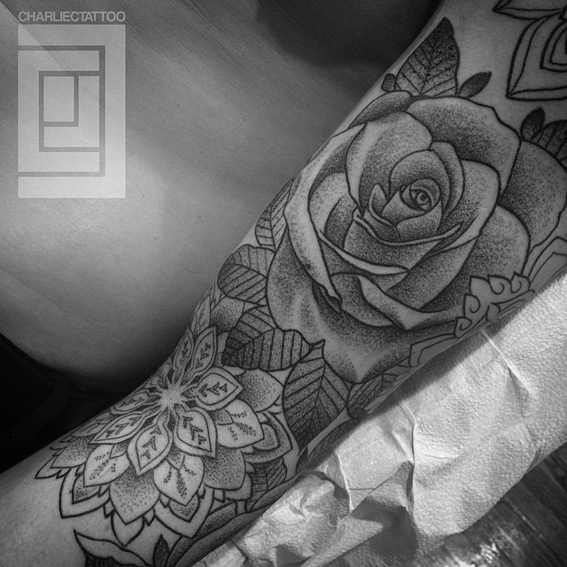Flower, Rose