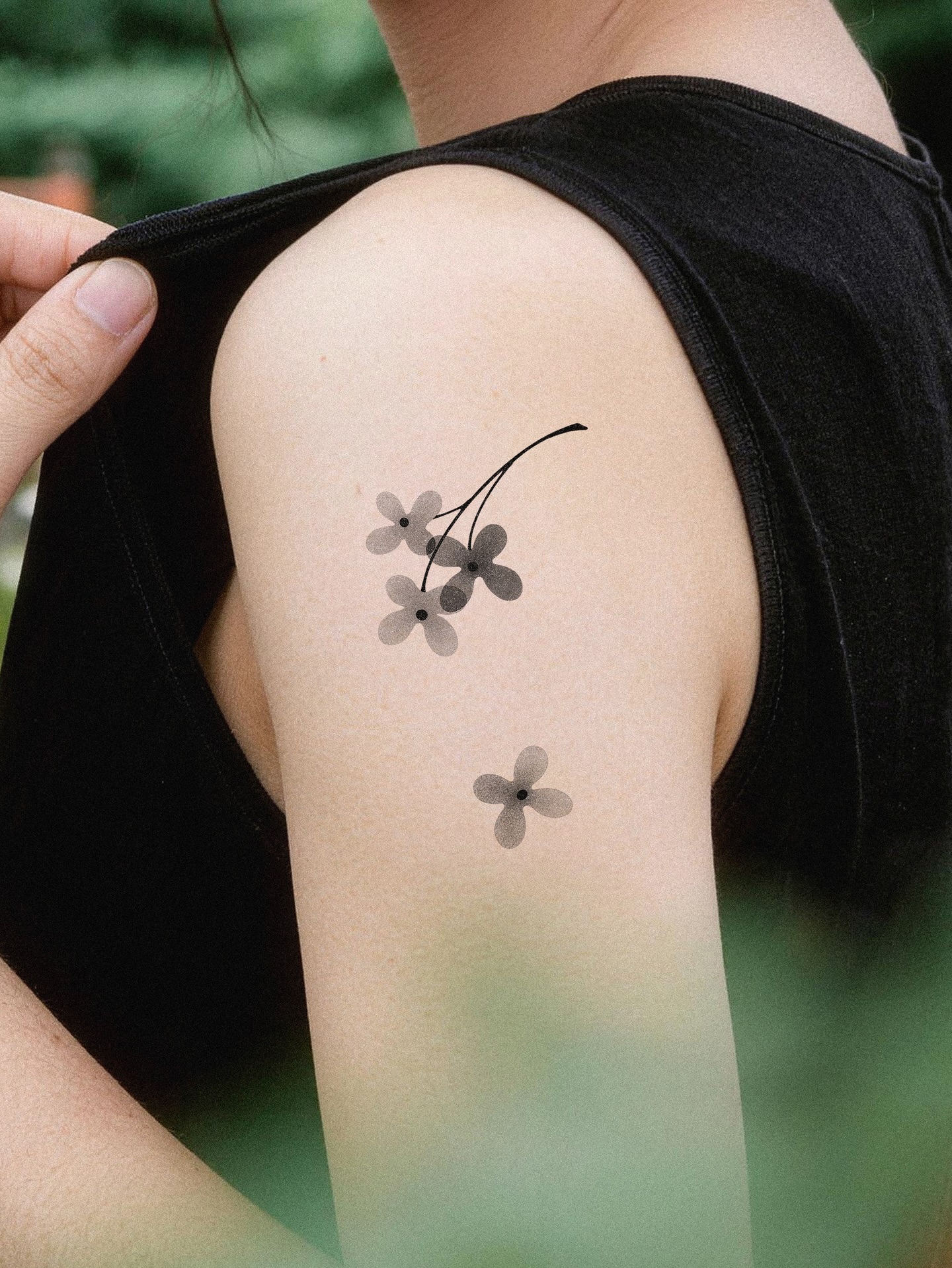 Flower, Nature, Rose