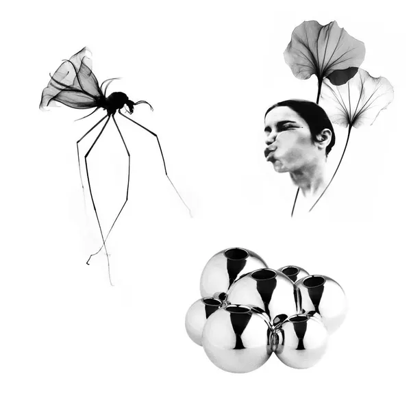 plantsnpokes