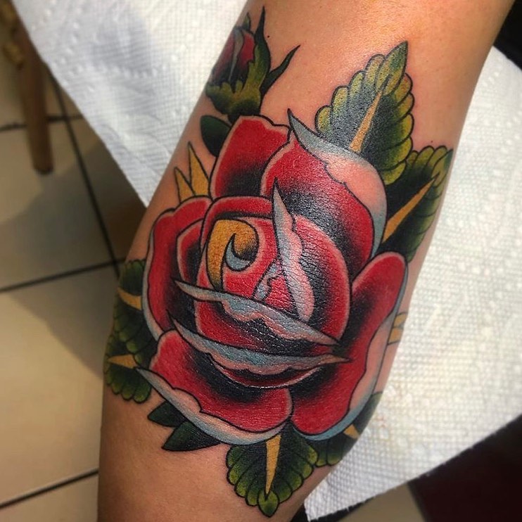 Flower, Rose