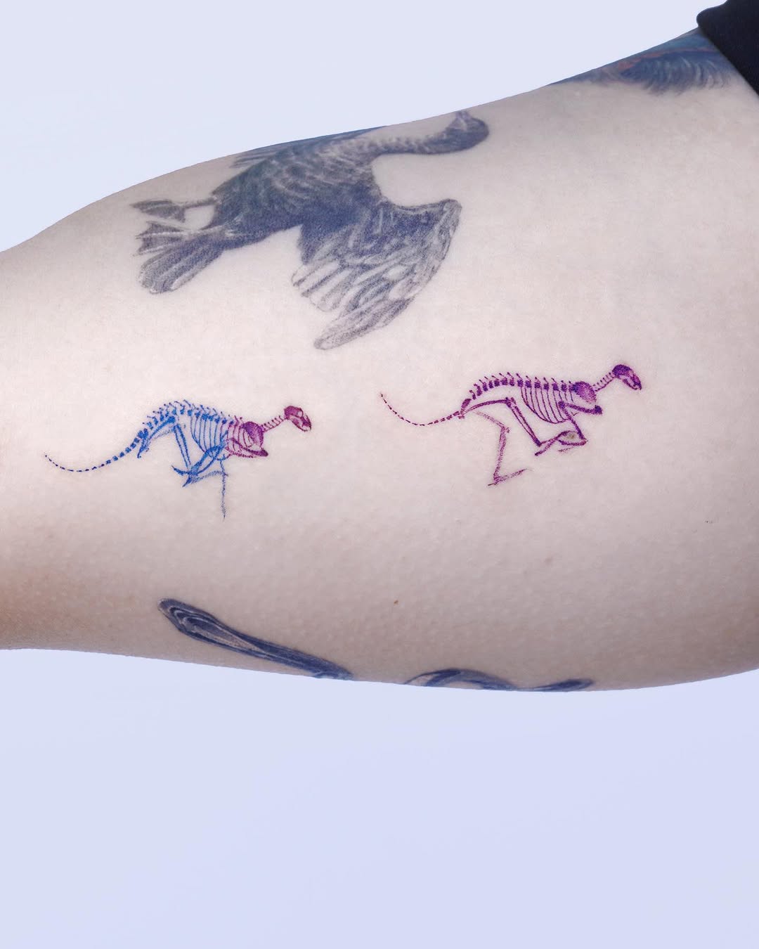 soltattoo