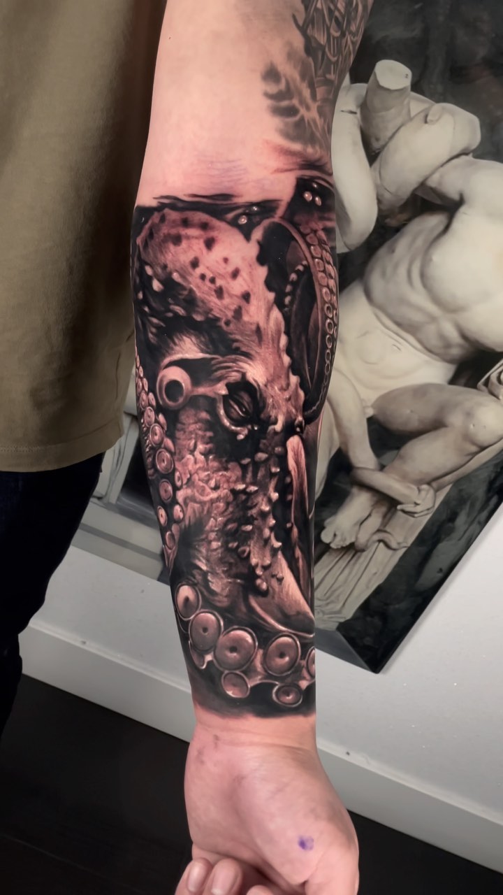 Animal