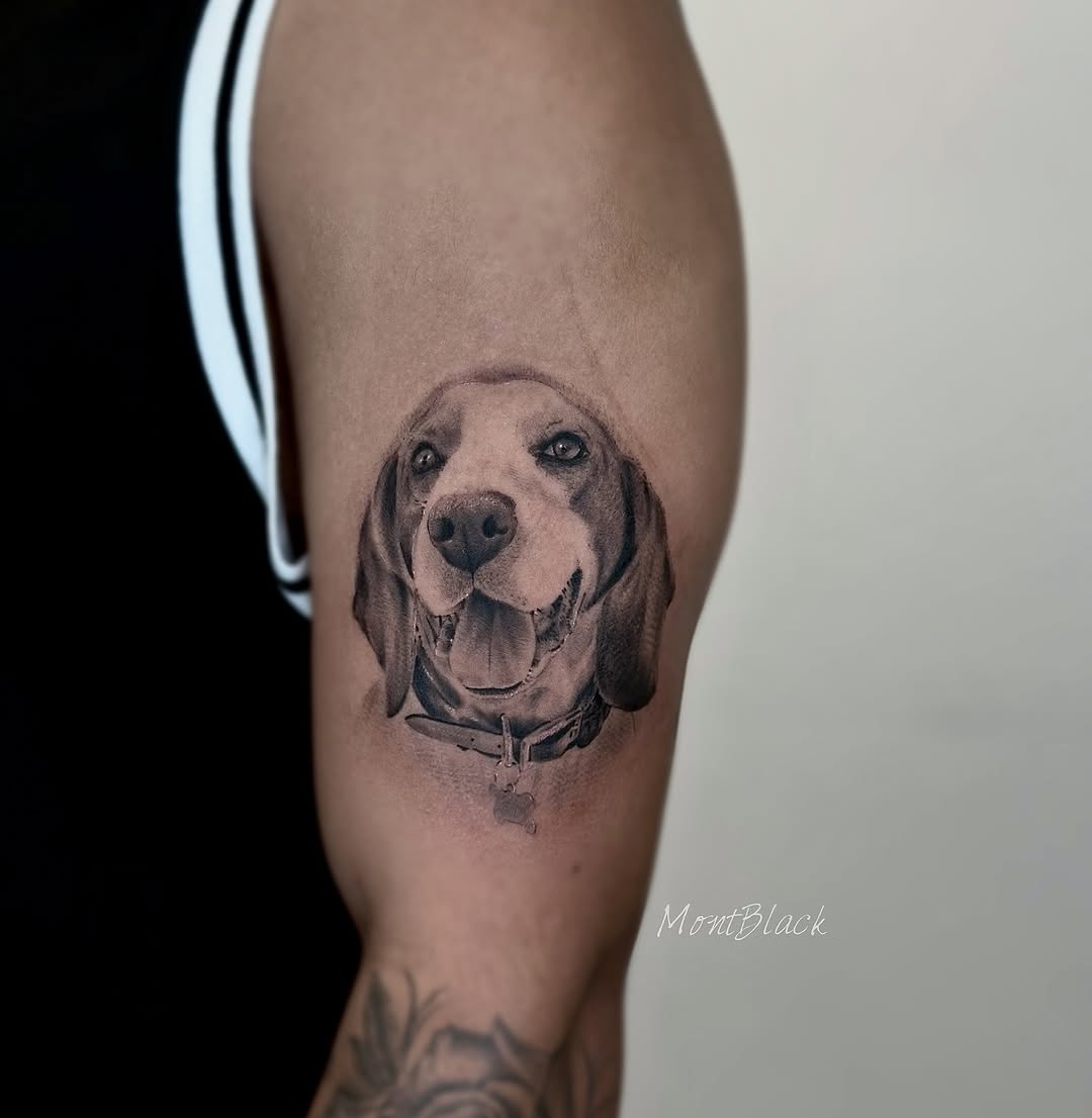 Animal