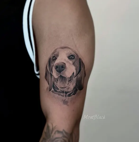 Animal