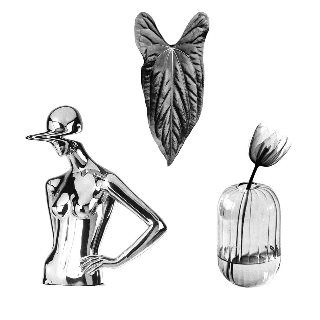 plantsnpokes