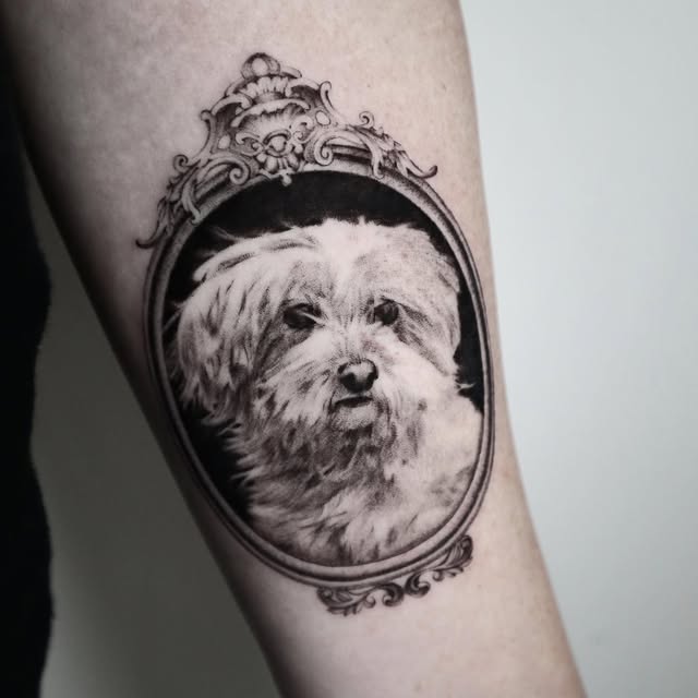 kate_sv_art