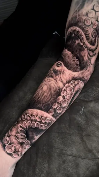 Animal