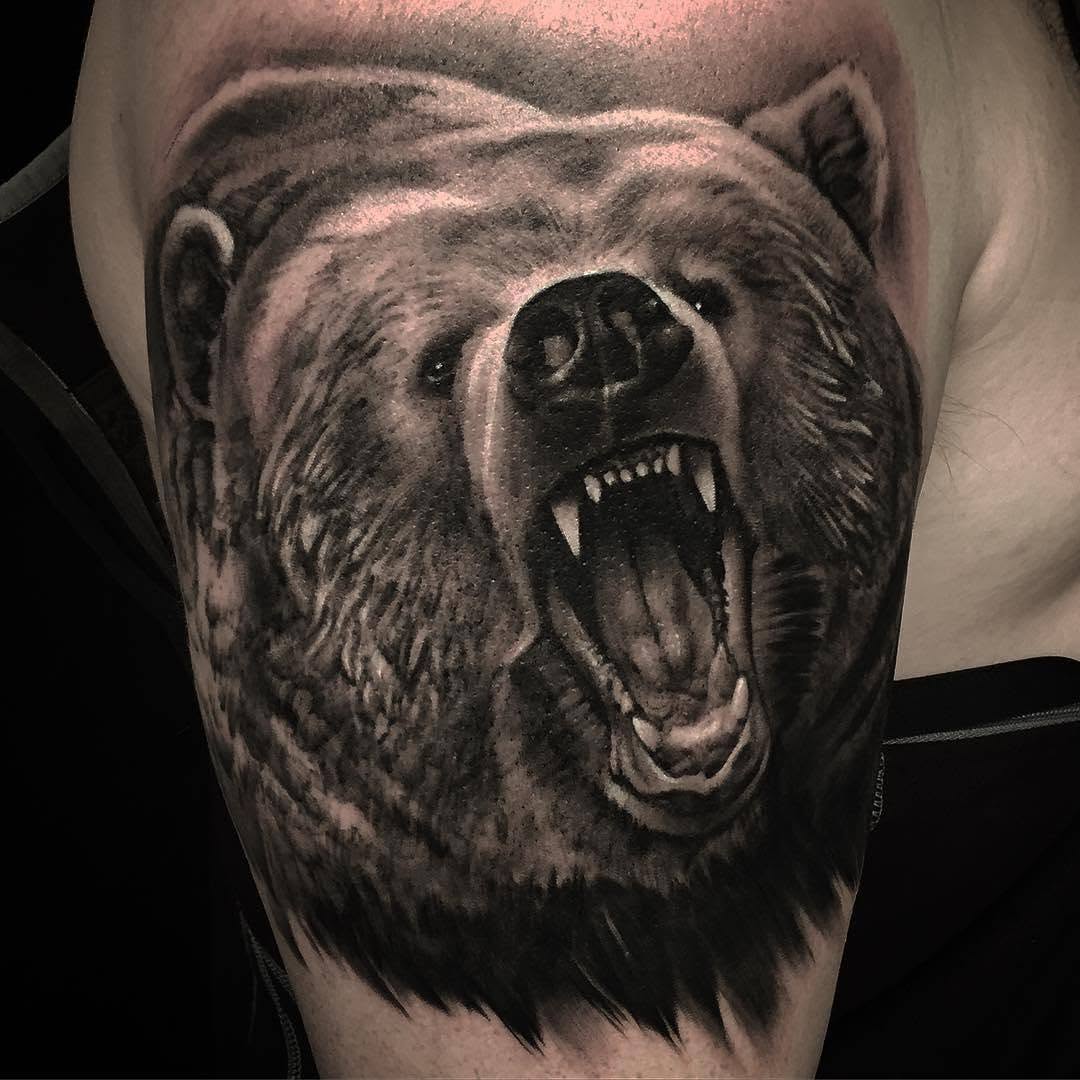 Animal