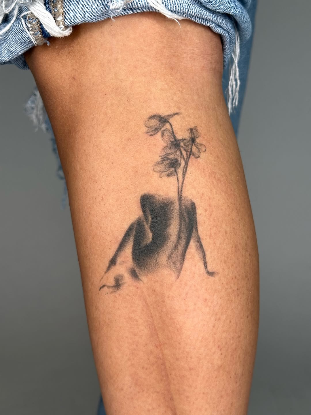plantsnpokes
