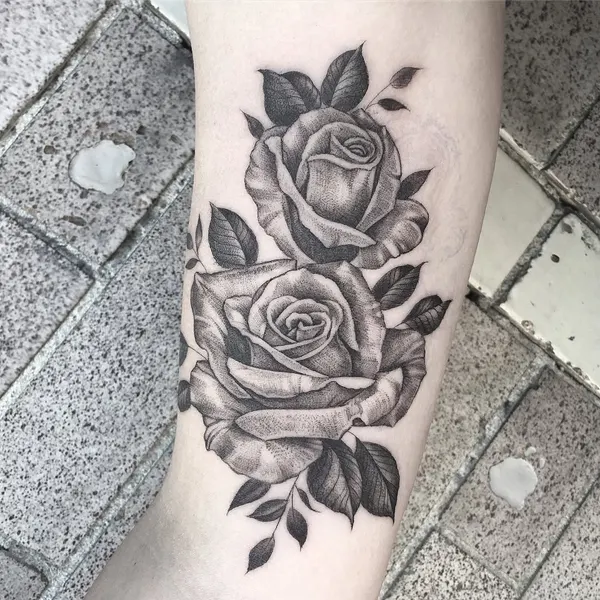 Flower, Rose