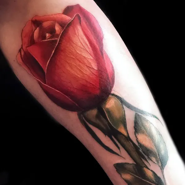 Flower, Rose