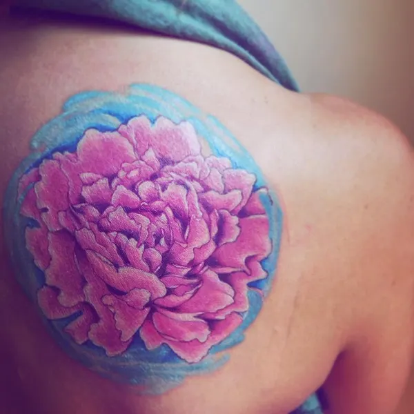 Flower, Rose, Nature