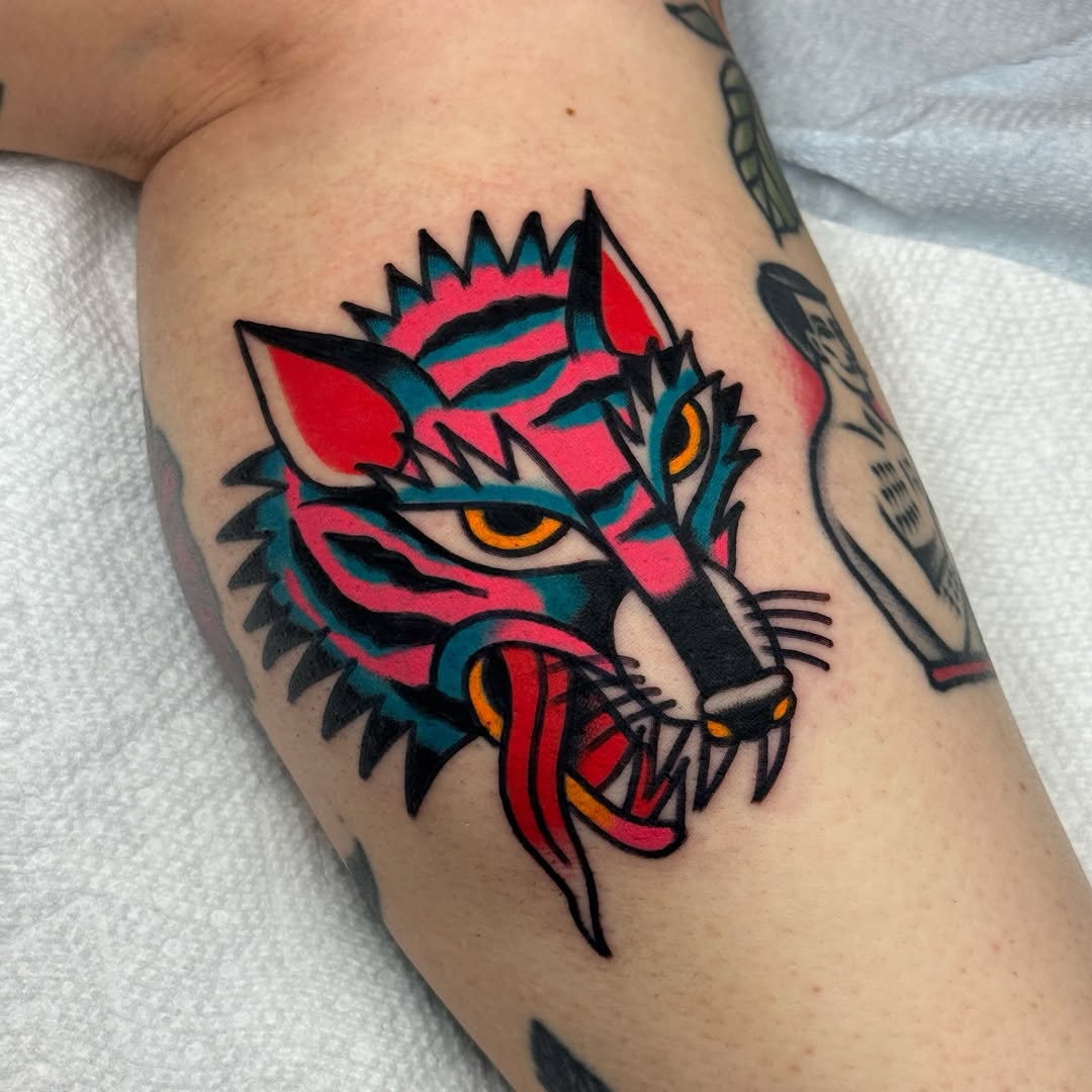 Tiger, Animal