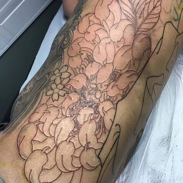 Flower, Rose
