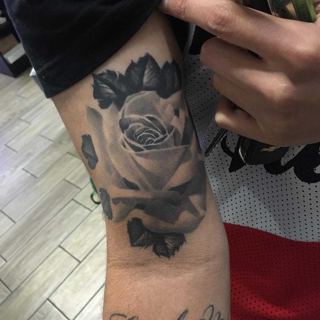 Flower, Rose