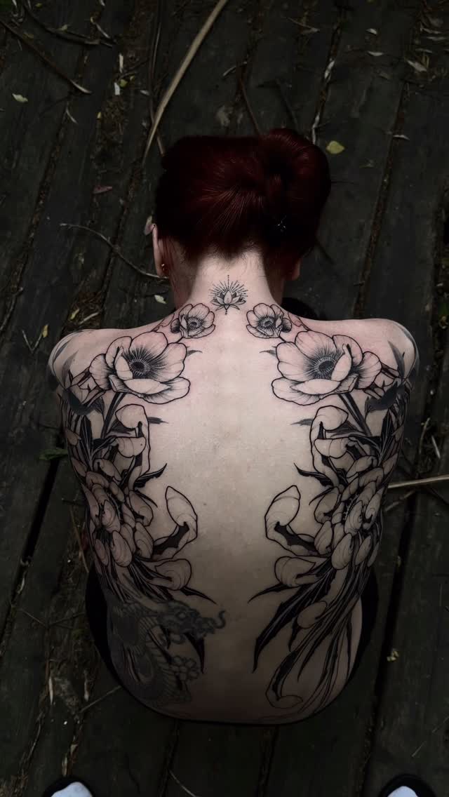 Flower, Nature, Rose