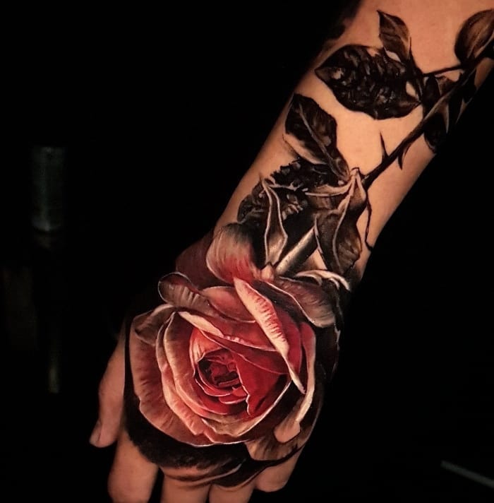 Flower, Rose