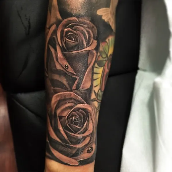 Flower, Rose