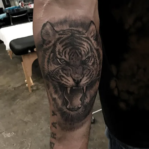 Tiger