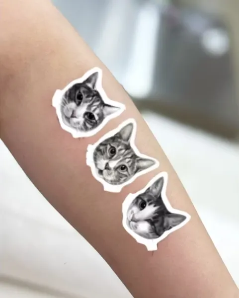 Animal