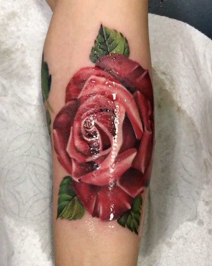 Flower, Rose
